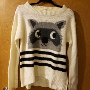 Racoon Sweater